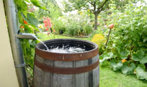 Why Paying Attention to Your Water Can Transform Everyday Life at Home