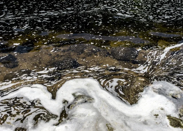 What’s Really in Your Water? Understanding PFAS, Heavy Metals, and Chemical Concerns