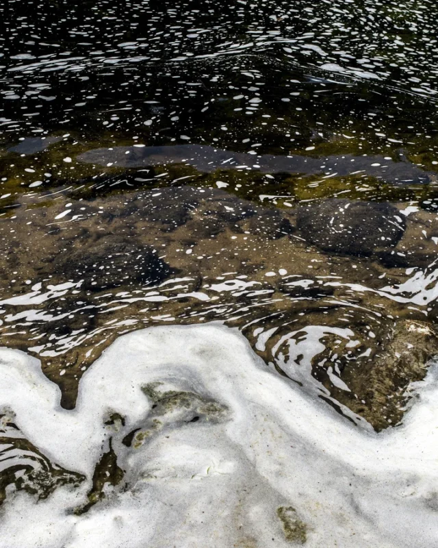 What’s Really in Your Water? Understanding PFAS, Heavy Metals, and Chemical Concerns